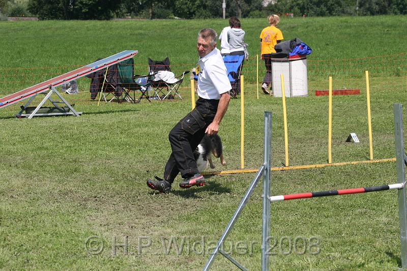 jubil.lusten. 267.jpg